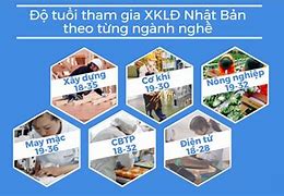 Độ Tuổi Xuất Khẩu Lao Động