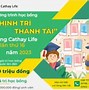 Dự Kiến Học Bổng Ueh