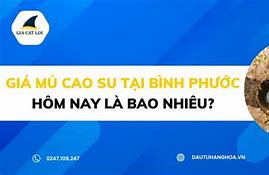 Giá Mủ Cao Su Hôm Nay Tại Bình Phước