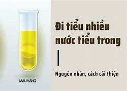 Nước Tiểu Trong Hoá Học Gọi Là Gì