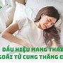 Sâm Hàn Quốc Tiếng Anh Là Gì